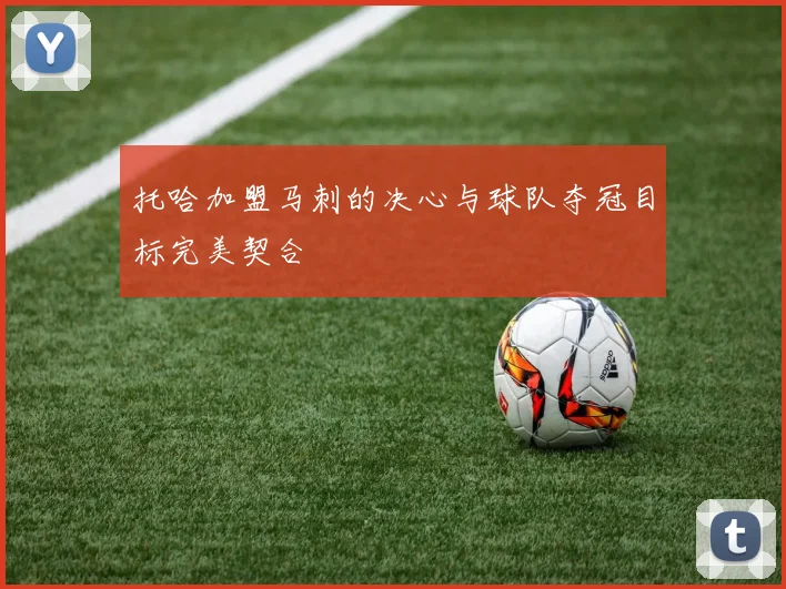 托哈加盟马刺的决心与球队夺冠目标完美契合