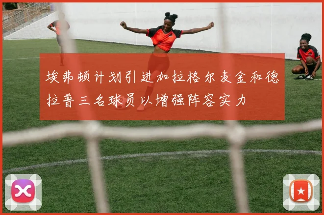 埃弗顿计划引进加拉格尔麦金和德拉普三名球员以增强阵容实力