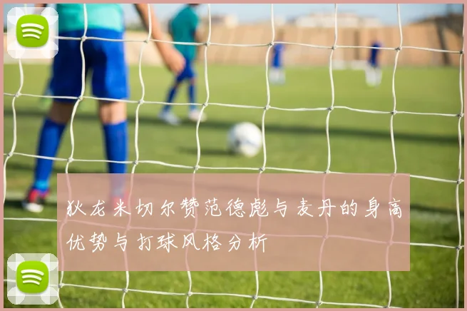 狄龙米切尔赞范德彪与麦丹的身高优势与打球风格分析