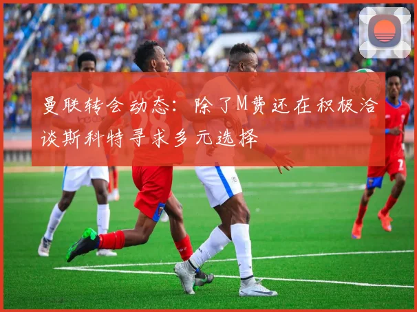 曼联转会动态:除了M费还在积极洽谈斯科特寻求多元选择